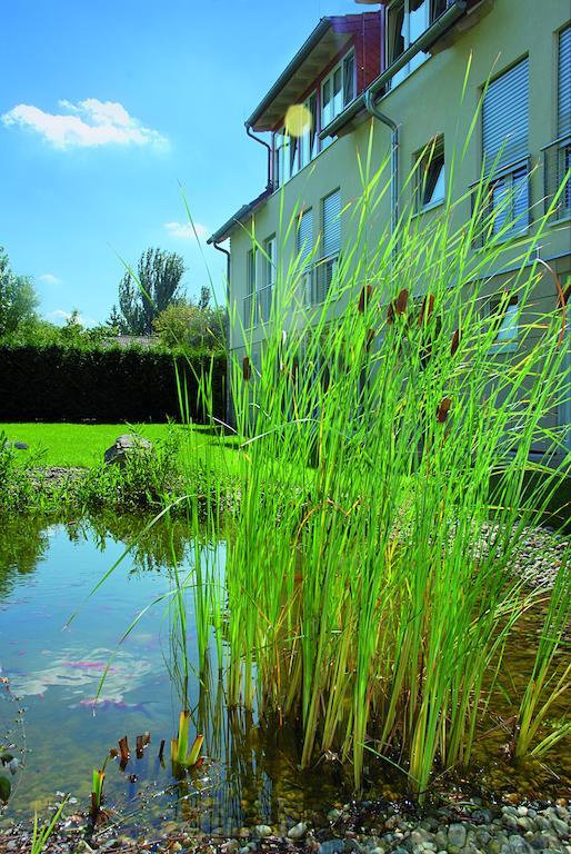 Landhotel Altes Wasserwerk Gbr Freinsheim Exterior photo