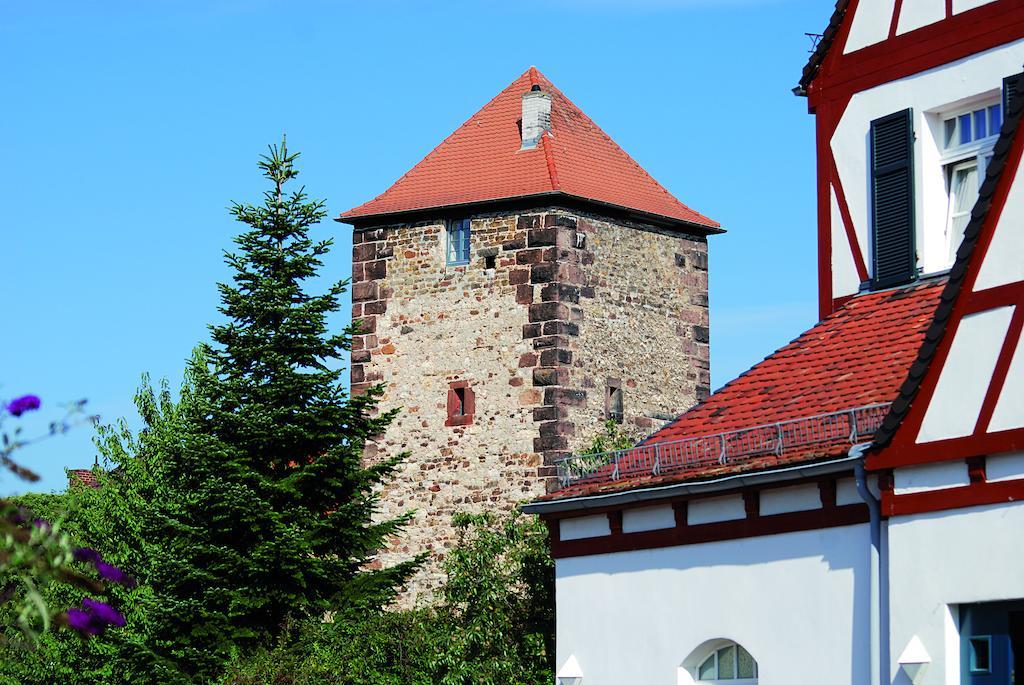Landhotel Altes Wasserwerk Gbr Freinsheim Exterior photo